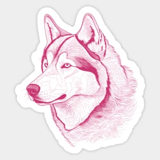 Alaskan Malamute Dog Minimalistic Pink Line drawing Sticker